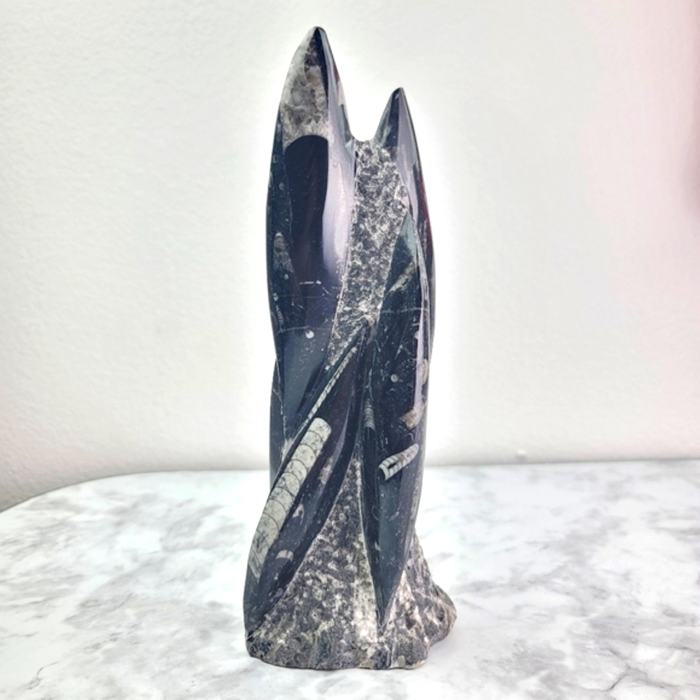 Orthoceras Fossil Home Decor Office Desk Bookend Display Black Gray Accent